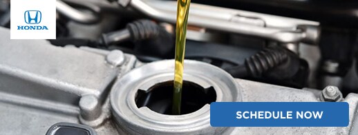 economy honda oil change coupons